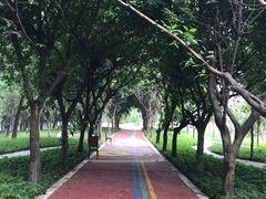 -府河摄影公园