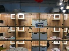 -小呆的宠物店·宠物售卖·宠物寄养(城西店)