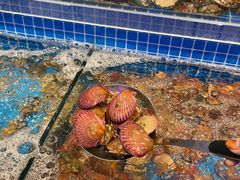 水产区-乔哥铭洋海鲜自助(皇城恒隆广场店)
