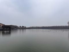 -溱湖国家湿地公园