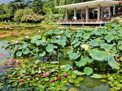 -国家植物园南园