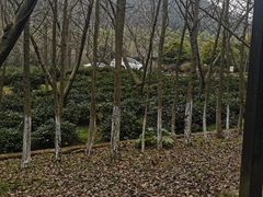 -九龙潭景区