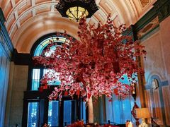-上海和平饭店 Fairmont Peace Hotel
