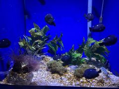 -常州海昌海洋探索馆