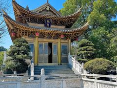 -上海东林寺(金山区)