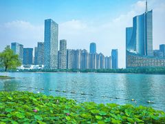 -天鹅湖体育公园