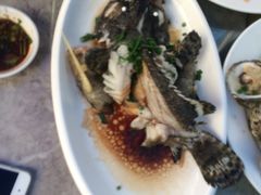 蒸鱼-四川小胡子海鲜(丁村万人海鲜广场店)