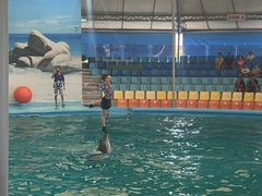 -尼莫海豚馆