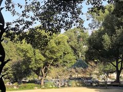 -申粤轩酒楼·三十年粤菜经典(丁香花园店)