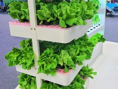 -中国天府农业博览园