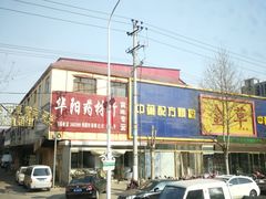 -药王庙(安国市)