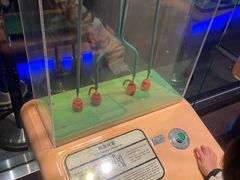 -香港科学馆