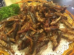 草蜢-五邑人家(江门店)
