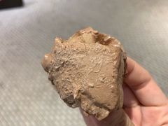 -Olé精品超市(广州太古汇店)