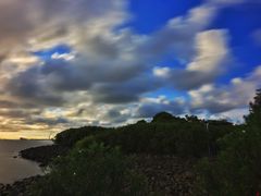 -上海吴淞炮台湾国家湿地公园