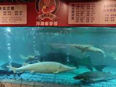 -年辉渔村·非遗传承餐厅(新丰江店)