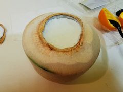 -志龙皇冠吃货椰子铺