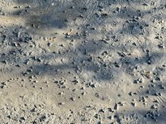 -北海金海湾红树林生态旅游区