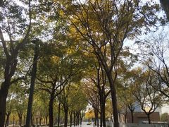 -嘉定凯悦·咖啡厅