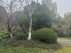 -青枫公园