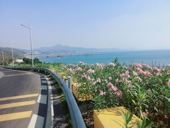 -玫瑰海岸文化旅游度假区