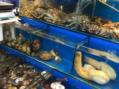 -岳各庄批发市场(西四环中路店)