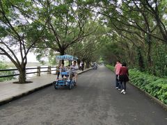 -大湾区中央湿地公园