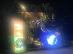 -夜间野生动物园