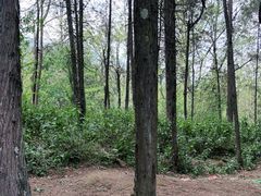 -天龙八部武侠城