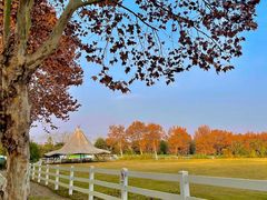 -三圣花乡旅游区