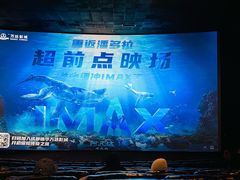 -万达影城(锦华万达广场IMAX店)