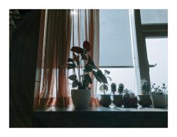 -浙江大学医学院附属妇产科医院(湖滨院区)