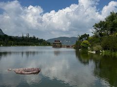 -王莽岭风景区