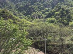 -大岭沟猕猴桃谷风景区