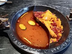 -杨家火锅(国美店)