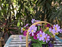 -西双版纳傣族园