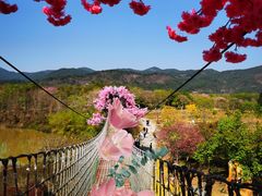 -天适樱花悠乐园