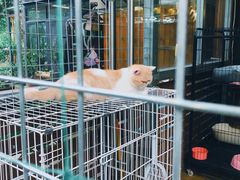 -谷咖啡·鲜花绿植花园餐厅