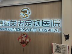 -瑞派·关忠动物医院·猫专科·犬专科(三环新城店)