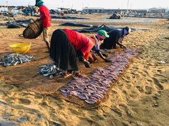 -尼甘布海鲜市场