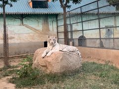 -龙口动植物园