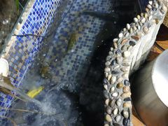 -咱屯子铁锅炖(洪楼店)