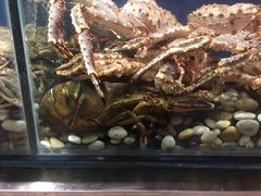 -麦当劳(红旗路店)