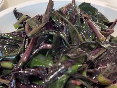 -全乐鱼馆·淳牌有机鱼直营店