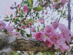 -观澜湖生态运动公社