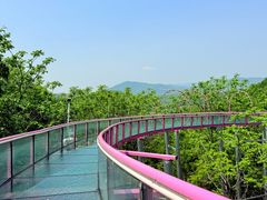 -帽儿山风景区