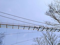 -木兰云雾山