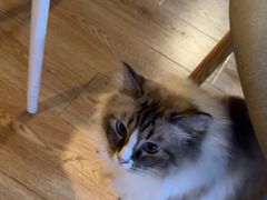 -白兔子密室(长寿路店)