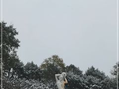 -丰台花园