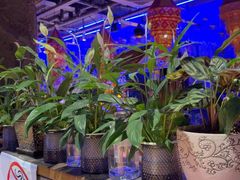 -花腰餐吧Bistro烧烤 傣味(传媒大学店)